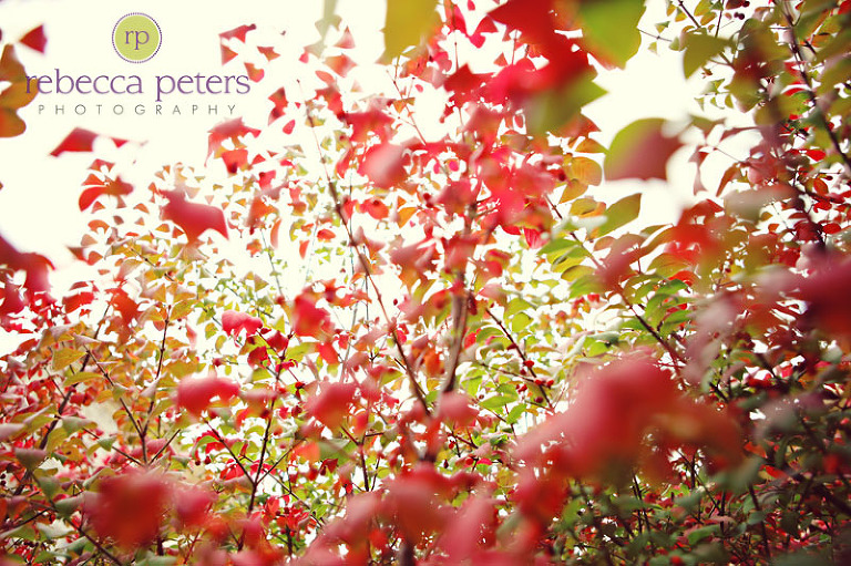 rpeters_fall2009_0001