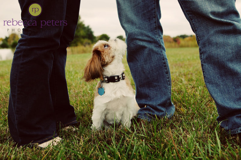 Seriously...how cute is this!?