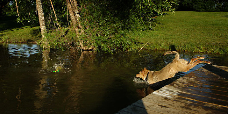 rpeters_tanner-jump_0007