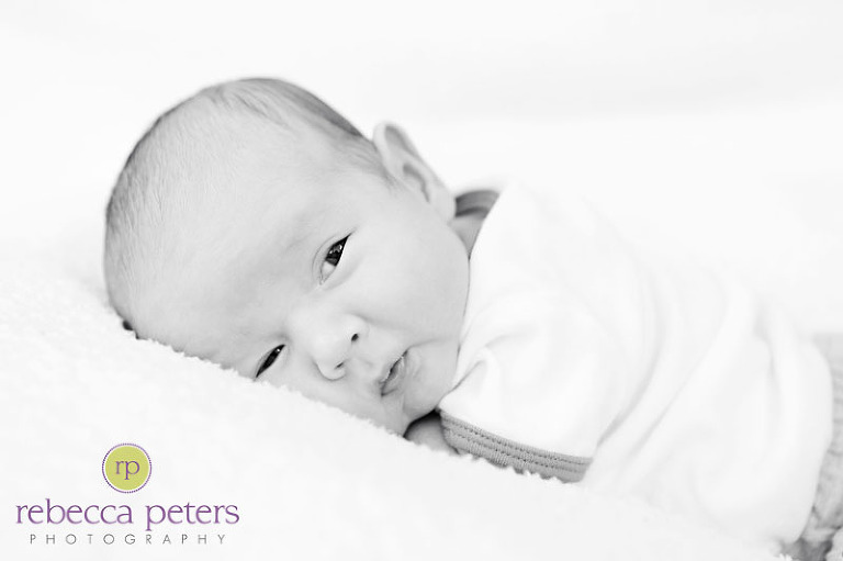 rpeters_lukes-new_0007