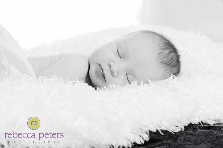 rpeters_avie-new_0006