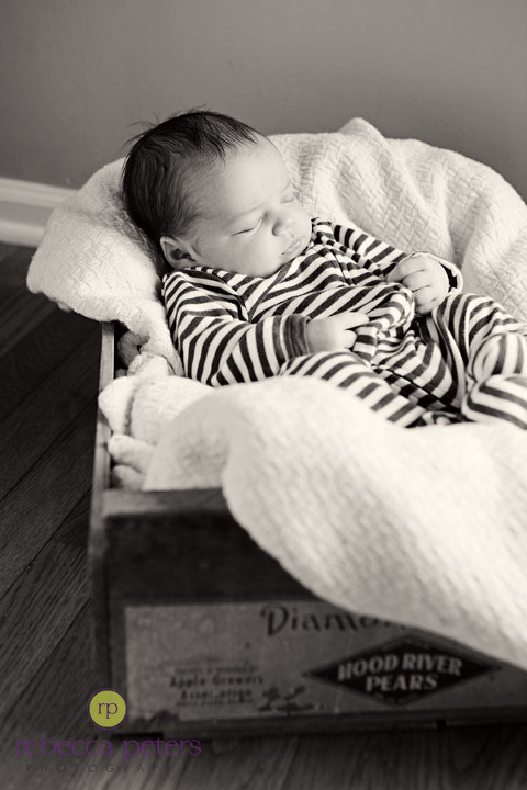 rpeters_gannon-new_006