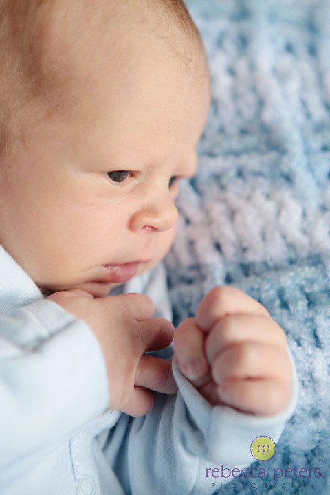 rpeters_harrison-new_008