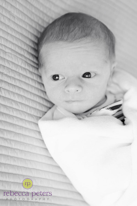 rpeters_tripp-new_006