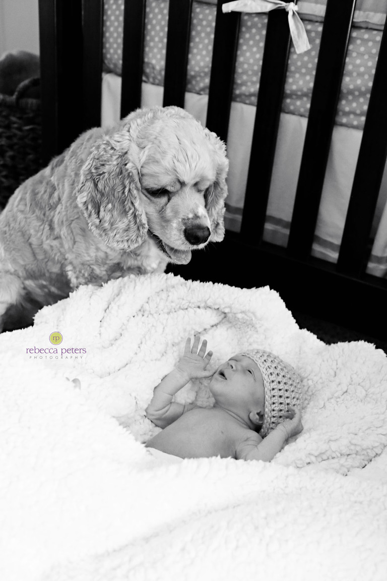 RPeters_LaneyH-New_0007