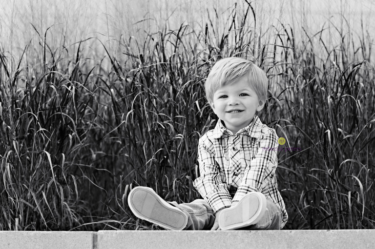 RPeters_Stauffer2014_0004