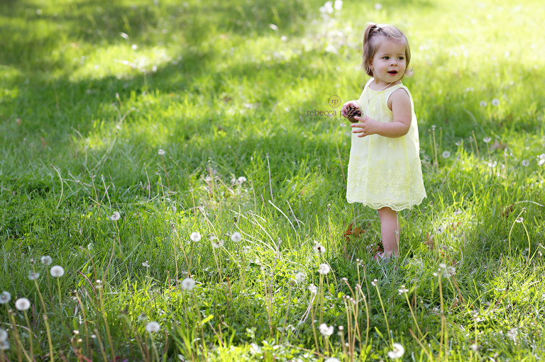 RPeters_Box2015_0007