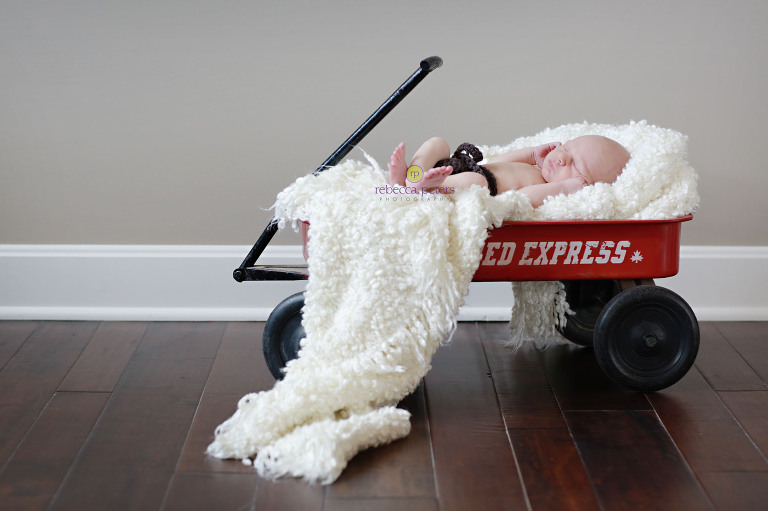 RPeters_Brigg-New_0010