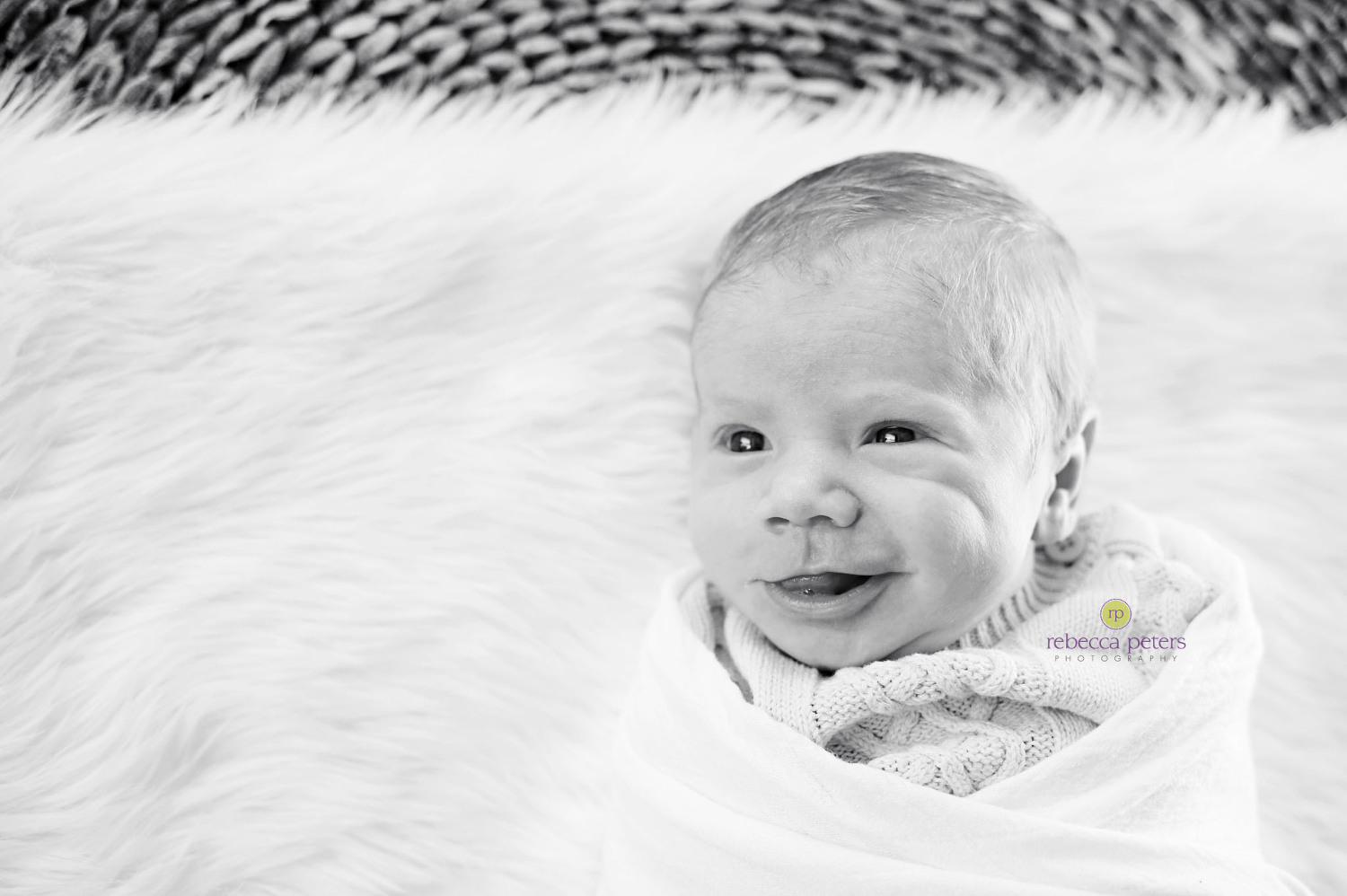 teddy newborn